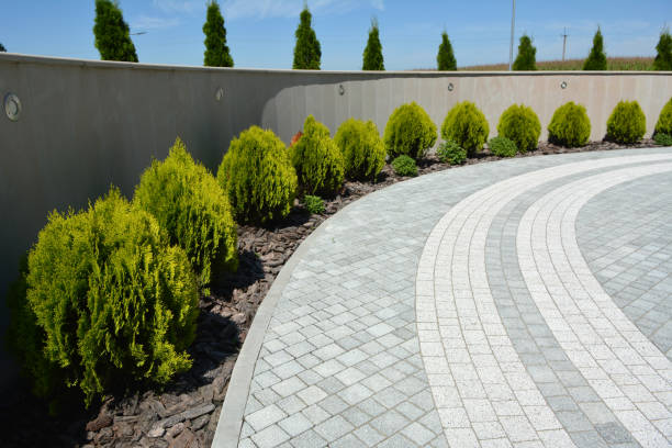 Reasons to Select Us for Your Driveway Paving Requirements in St Stephens, NC